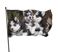 Drapeau de jardin Funny Husky Dog Yard House Décoration extérieure Drapeaux Bannières pour Patio Pelouse 0,9 x 1,5 m