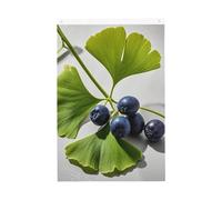 Drapeau de jardin Ginkgo - Feuilles et baies - 61 x 90 cm - Ne se décolore pas - Double face - Bannière d'extérieur pour cour, porche, pelouse