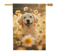 Drapeau de jardin Golden Retriever, beau fond floral pour décoration d'intérieur, drapeau d'été double face, décoration de pelouse extérieure, 71,1 x 101,6 cm