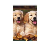 Drapeau de jardin Golden Retriever - Motif chiens et chiots - 61 x 90 cm - Double face - Ne se décolore pas - Toile de fond pour photo - Bannière pour cour, porche, pelouse, décoration extérieure