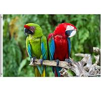 Drapeau De Jardin Green And Red Macaws Parrot Birds Wild Animal In Nature Spring Summer Drapeaus Décoratif Couleur Vive Drapeau De Bienvenue Premium Garden Flag Pour Pavillon Cour Patio 152X90CM