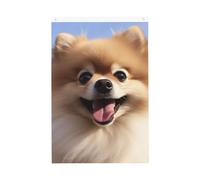 Drapeau de jardin « Happy Pomeranian Welcome » - 61 x 91 cm - Double face - Ne se décolore pas - Toile de fond pour photo - Bannière pour cour, porche, pelouse, décoration extérieure