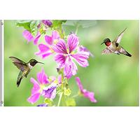 Drapeau De Jardin Hummingbird Bird And Pink Flowers Wildlife In Spring Summer Pride Flag Couleur Vive Drapeau De Bienvenue Premium Garden Flag Pour Pavillon Pelouse Patio 152X90CM
