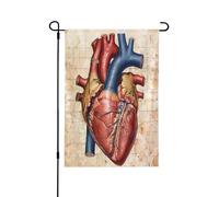 Drapeau de jardin imprimé anatomie humaine 31,8 x 45,7 cm, drapeau de maison double face en polyester pour patio, porche, pelouse, décoration extérieure