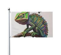Drapeau de jardin imprimé caméléon avec impression de musique - 9,1 x 1,5 m - Double face - Bannière décorative pour extérieur, cour, pelouse, porche, balcon, décoration de jardin