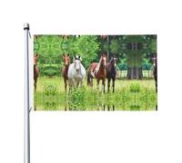 Drapeau de jardin imprimé cheval marron blanc, 91,4 x 152,4 cm, convient pour les pelouses, balcons, terrasses, intérieur et extérieur, avec œillets métalliques, mât non inclus.