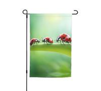 Drapeau de jardin imprimé coccinelle drôle double face pour l'extérieur Décoration de jardin intérieur ou extérieur 30,5 x 45,7 cm