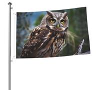 Drapeau de jardin imprimé double face avec motif hibou sauvage, 60 x 90 cm, pour extérieur, bannière avec œillets, toile de fond photo pour décoration intérieure et extérieure.