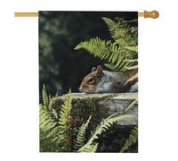 Drapeau de jardin inspiré de la nature, écureuil gris avec fougères, bannière d'extérieur d'automne, décoration d'intérieur double face pour pelouse et cour, thème de la faune, 71 x 101 cm