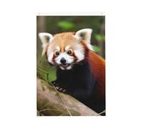 Drapeau de jardin « Little Red Panda » - 61 x 91 cm - Ne se décolore pas - Double face - Bannière d'extérieur pour cour, porche, pelouse