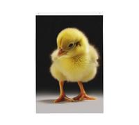 Drapeau de jardin « Little Yellow Chicken Welcome » - 61 x 91 cm - Double face - Ne se décolore pas - Toile de fond pour photo - Bannière pour cour, porche, pelouse, décoration extérieure