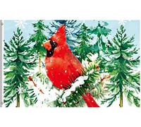 Drapeau De Jardin Merry Christmas Winter Cardinal Bird On Snowy Tree Seasonal Nature Drapeaus Décoratif Amusante Pride Flag Antifouling Drapeau De Bienvenue Pour Pelouse Pavillon Patio 152X90CM