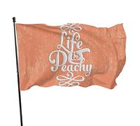 Drapeau de jardin mignon Funny Life is Peachy Girly pêche et blanc Whimsca drapeau en polyester avec 2 œillets en laiton bannière couleur vive et résistant à la décoloration drapeau de jardin extérieu