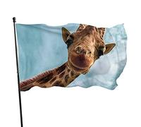 Drapeau de jardin mignon tête de girafe beaux yeux drapeau polyester avec 2 œillets en laiton bannière couleurs vives et résistant à la décoloration drapeau de jardin extérieur drapeaux de décoration