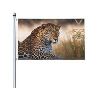 Drapeau de jardin motif léopard africain - 90 x 150 cm - Ne se décolore pas - Double face - Pour maison, cour, porche, pelouse
