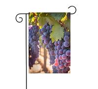 Drapeau de jardin Motifs raisins du désert Drapeaux décoratifs principalement pour patios, jardins, pots de fleurs, terrasse, balcon. 30,5 x 45,7 cm