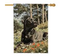 Drapeau de jardin noir de laboratoire pour printemps, été, bannière de décoration extérieure à motif floral, drapeau double face animal mignon pour décoration de pelouse, 71 x 101,6 cm