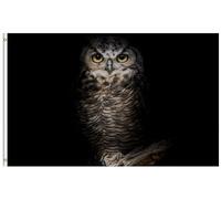 Drapeau De Jardin Owl Bird Standing In The Dark Night Fairy Halloween Drapeau De Bienvenue Premium Drapeaus Décoratif Couleur Vive Pride Flag Pour Patio Pavillon Cour 152X90CM