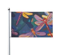 Drapeau de jardin peint à la main avec libellule - 90 x 150 cm - Ne se décolore pas - Double face - Bannière d'extérieur pour cour, porche, pelouse