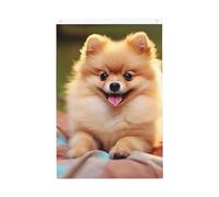 Drapeau de jardin Poméranie à poils courts 61 x 91 cm double face qui ne se décolore pas pour maison, cour, cour, porche, pelouse, décoration extérieure