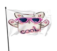 Drapeau de jardin pour chat 0,9 x 1,5 m, lunettes de soleil cool mignon chat joyeux personnage enfance animal de dessin animé décoration extérieure porche jardin drapeau bannière avec œillets