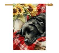 Drapeau de jardin pour chien de laboratoire noir automnal, bannière de décoration extérieure confortable, bannière de décoration d'extérieur double face, toile de jute pour décoration de pelouse
