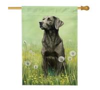 Drapeau de jardin pour chien gris, labrador noir dans un champ de pissenlit, bannière de cour double face en toile de jute, décoration de pelouse pour amoureux des animaux, 71 x 101,6 cm