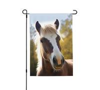 Drapeau de jardin pour l'extérieur - 71,1 x 101,6 cm - Double face - Drapeau de cour saisonnier - Animal poney cheval - Pour la Saint-Valentin - Pour la décoration de la maison et du printemps