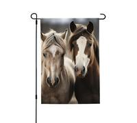 Drapeau de jardin pour l'extérieur - 71,1 x 101,6 cm - Double face - Drapeau de cour saisonnier - Deux chevaux - Pour la Saint-Valentin - Pour la décoration de la maison et du printemps