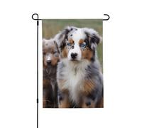 Drapeau de jardin pour l'extérieur - 71,1 x 101,6 cm - Double face - Drapeau saisonnier de cour - Berger australien - Pour la Saint-Valentin - Pour décoration de maison de printemps