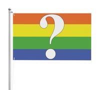 Drapeau De Jardin Questionner La Fierté Lgbtq Drapeaux Personnalisé Haute Qualité Pirate Drapeaux Pour Jardin, Décoration D'Halloween, Terrasse, 90X150cm