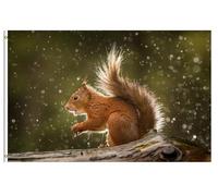 Drapeau De Jardin Red Squirrel In The Rain Pride Flag Amusante Drapeau De Bienvenue Antifouling Drapeaus Décoratif Pour Patio Pelouse Pavillon 152X90CM