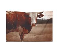 Drapeau de jardin saisonnier - Drapeau de cour - Imprimé vache du Texas - Drapeaux décoratifs pour intérieur et extérieur