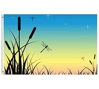 Drapeau De Jardin Summer Spring Scenery Dragonfly Night Sunset Over The Swamp Garden Flag Couleur Vive Drapeau De Bienvenue Premium Pride Flag Pour Pelouse Cour Pavillon 152X90CM