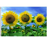 Drapeau De Jardin Three Yellow Sunflowers Flowers Field Spring Summer Seasonal Farm Plant Blue Drapeau De Bienvenue Antifouling Pride Flag Amusante Garden Flag Pour Patio Pelouse 152X90CM