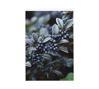 Drapeau de jardin violet avec fruits sauvages - 61 x 91 cm - Double face - Ne se décolore pas - Toile de fond pour photo - Bannière pour cour, porche, pelouse, décoration extérieure