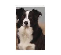 Drapeau de jardin « Welcome » Border Collie - 61 x 91 cm - Double face - Ne se décolore pas - Pour maison, cour, porche, pelouse, décoration extérieure