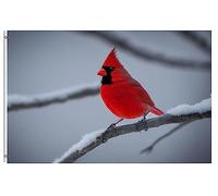 Drapeau De Jardin Winter Scene Christmas Xmas Cardinal Birds In The Snow Garden Flag Premium Drapeau De Bienvenue Couleur Vive Pride Flag Pour Pavillon Pelouse Cour 152X90CM