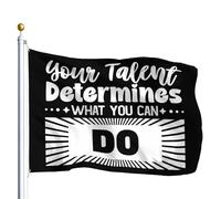 Drapeau De Jardin Your Talent Determines What You Can Do Happy Pride Flag Premium Drapeau De Bienvenue Amusante Garden Flag Pour Pelouse Cour Pavillon 152X90CM