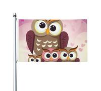 Drapeau de la famille des hiboux 91 x 152 cm avec œillets pour printemps, été, automne, hiver, extérieur, intérieur, jardin, bannière double face pour décorations de cour