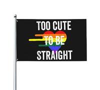 Drapeau de la fierté gay LGBT trop mignon pour être hétéro 3x5 pieds Bannière de jardin Tapisserie Bannières extérieures