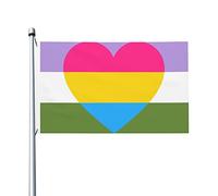 Drapeau de la fierté pansexuelle et queer, 90 x 150 cm, décoration extérieure, bannière, drapeau de jardin pour la maison et le jardin