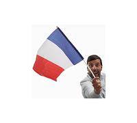 Drapeau de la France avec Manche (46 x 30 cm)