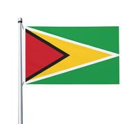 Drapeau de la Guyane - Drapeau de jardin double face - 90 x 150 cm - Convient pour une utilisation toute l'année, pour décorer les porches, balcons et terrasses - Mât non inclus.