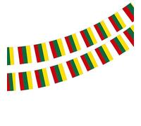 Drapeau de la Lituanie 40 pièces Drapeau Lituanie Guirlande Lituanie 11.4M Fanions Lituanie Drapeau National Drapeaux Européens 14x21cm pour décorations de bar