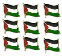 Drapeau de la Palestine Pin Badge, épinglette nationale palestinienne en métal, Palestine National émail Badge brassard, broche nationale de Palestine unisexe pour décor de fête (9PCS)