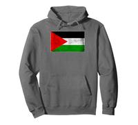 Drapeau de la Palestine vintage pour hommes, femmes, enfants, garçons et filles Sweat à Capuche