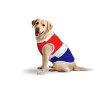 Drapeau de la République de Croatie pour chiens de taille moyenne et grande - Vêtement en coton doux pour animal de compagnie à porter au quotidien, pour la promenade - Taille L, bleu, jaune