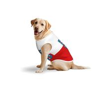 Drapeau de la Thuringe pour chiens de taille moyenne et grande - Vêtement en coton doux pour animal de compagnie à porter au quotidien, promenade (taille L, bleu, jaune)