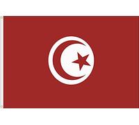 DRAPEAU DE LA TUNISIE QUALITÉ SATIN 90D DIMENSION 150X90 Grande taille